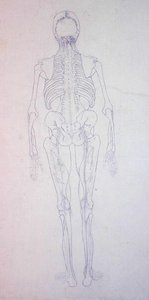 Studie van het menselijk lichaam, achteraanzicht, uit Een Vergelijkende Anatomische Expositie van de Structuur van het Menselijk Lichaam met die van een Tijger en een Gewone Vogel, c.1795-1806 door George Stubbs