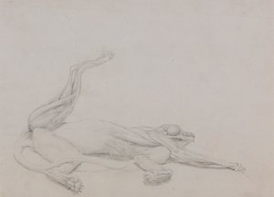 Tijgerlichaam, liggend, ventraal bekeken door George Stubbs