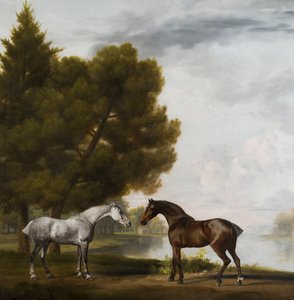 Twee paarden in gesprek in een landschap