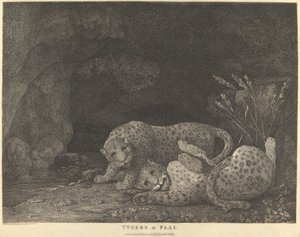 Tijgers aan het Spelen door George Stubbs
