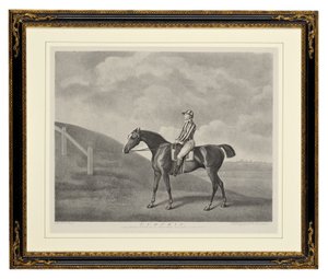 Pompoen door George Townley Stubbs