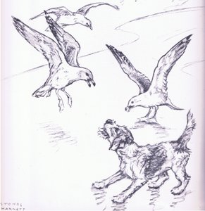 Rosie verjaagt de meeuwen, uit Mudlarks uitgegeven door Collins door George Vernon Stokes