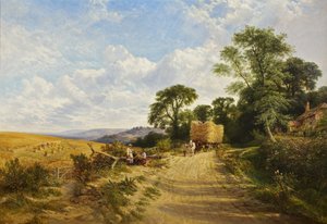 Landschap - Oogsttijd