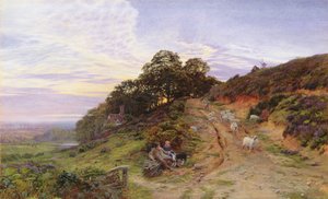 Pitch Hill bij Ewhurst