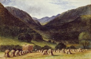 Oogsttijd, Llyn Crafnant, Noord-Wales