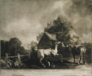 Hengst en Merrie, gegraveerd door George Townley Stubbs (1756-1815) 1776 door George after Stubbs