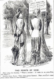 Cartoon die commentaar geeft op de Vogelbeschermingswet 1880