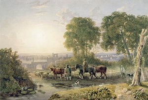 Landschap met veedrijvers