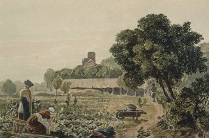 Moestuin in Chelsea door George the Younger Barret