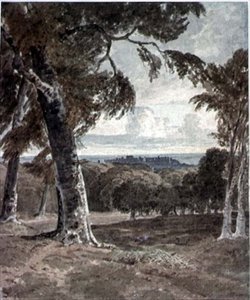 Windsor Park, met het Kasteel in de Verte