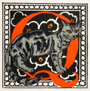 C voor Kat