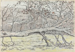 Gevelde boom, Normandië door Georges Lacombe