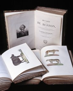 Stilleven van de Volledige Werken van Buffon door natuuronderzoeker Georges Louis Leclerc, Graaf van Buffon. Gravure uit 1837.