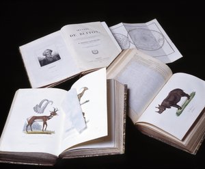 Stilleven van de "Volledige werken van Buffon" door natuuronderzoeker Georges Louis Leclerc, Graaf van Buffon (1707 - 1788). Gravure uit 1837.