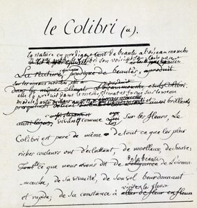 Buffon-manuscript over de kolibrie. sd. 18e eeuw door Georges de Buffon