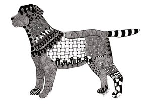 Labrador