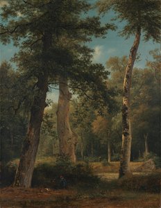 door Georgius Jacobus Johannes van Os