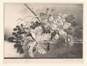Stilleven met druiven en kastanjes door Georgius Jacobus Johannes van Os