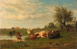 Koeien in de Weide