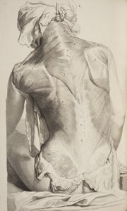Anatomia Humani Corporis door Govard Bidloo door Gerard de Lairesse