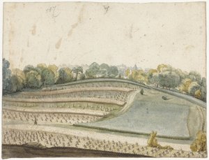 Panorama van een golvend graanveld van boven gezien