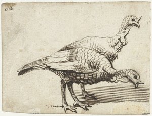 Twee kalkoenen door Gerard ter Borch (I)