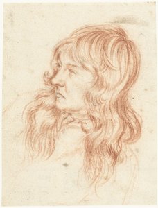 Hoofd van een jongeman, naar links door Gerard ter Borch (II)
