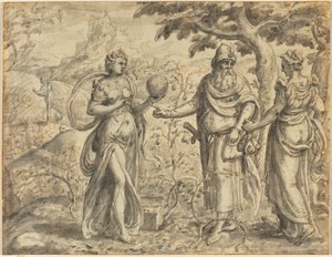 Het Zaad dat Tussen de Doornen Viel, uit de Parabel van de Zaaier door Gerard van Groeningen