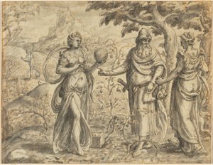 Het zaad ontvangen tussen de doornen, uit de gelijkenis van de zaaier, c. 1573 door Gerard van Groeningen