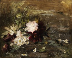 Dutch: Seerosen bloemen en Margrieten op de wal