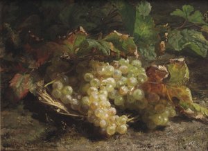 Witte druiven in een rieten mand