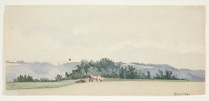 Heuvelachtig landschap met koeien door Gerda Henning