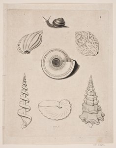 Bord met slakken