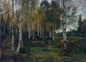 Berkenbos in de herfst