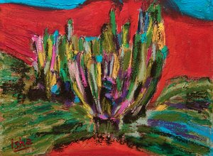 Saguaro geest