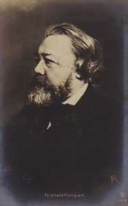 Ferdinand Freiligrath (1810-1876), Duits dichter (z/w foto) door German Photographer