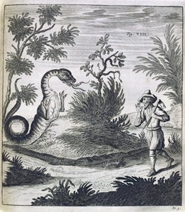 Een Angstaanjagende Draak, ca. 1660
