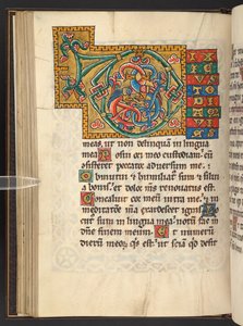 Grote ingelijste initialen in goud en kleuren met blad- en soms dierlijke en antropomorfe ornamenten (perkament)