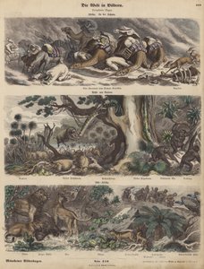 Afrika: een karavaan gevangen in een zandstorm in de Sahara; de kust van Guinee; Zuid-Afrika (gekleurde gravure) door German School
