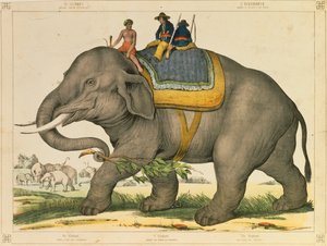 Een olifant gebruikt om op zijn eigen soort te jagen, picturaal pamflet uitgegeven door Joseph Scholz, Mainz, ca. 1860 door German School