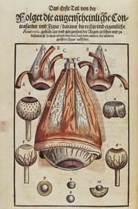 Anatomie van het oog, uit Ophthalmodouleia door Georg Bartisch, gepubliceerd in Dresden in 1583