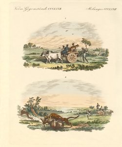 Antilopen jagen met luipaarden