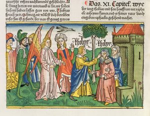 Apocrief: Tobias herstelt het zicht van zijn vader Tobit met de gal van een vis, uit de Neurenbergse Bijbel (Biblia Sacra Germanaica)