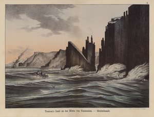 Basaltkolommen op Tasman Island, Tasmanië, Australië door German School