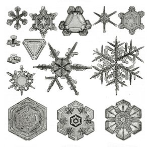 Verschillende vormen van sneeuwvlokken door German School