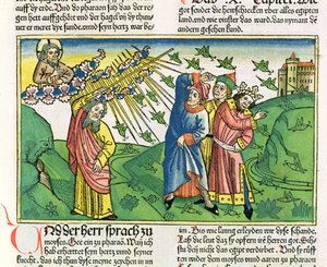 Exodus 10:1-20 De zeven plagen van Egypte: de plaag van sprinkhanen, uit de Neurenbergse Bijbel (Biblia Sacra Germanaica) door German School