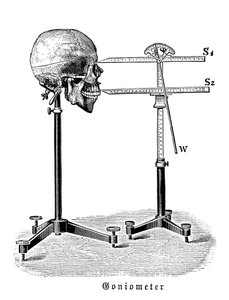 Goniometer meet menselijke schedel door German School