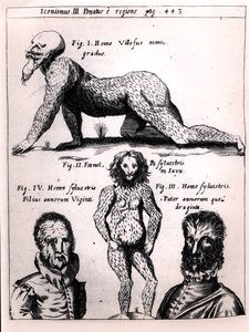 Haarige man en Wilde man, illustratie uit Physica Curiosa door Gaspar Schott (1608-66) door German School
