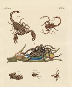 Schadelijke insecten uit warme landen