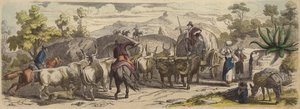 Italiaanse landweg (gekleurde gravure)
